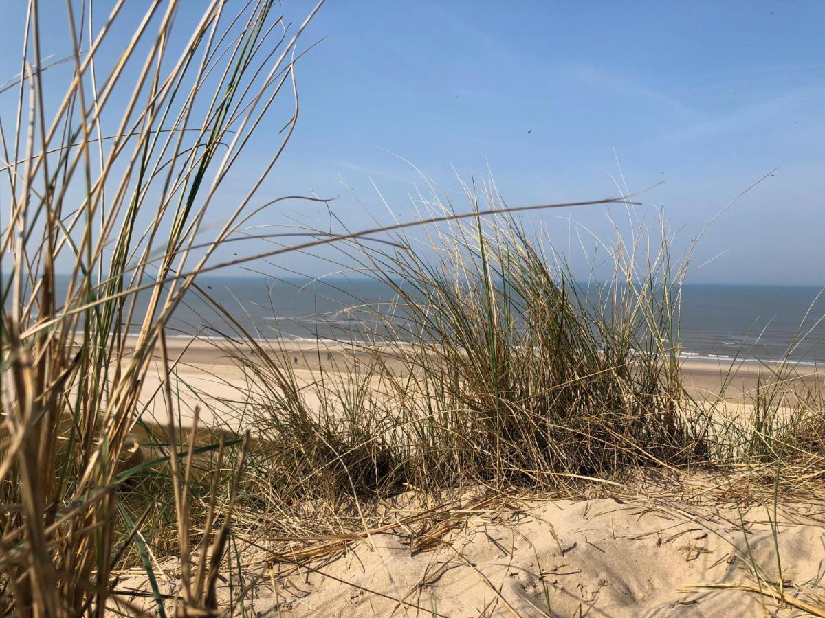 De Duinlopers- Appt Zilt Zand- Strand, Duinen En Nabij Cultuur Steden Castricum Exterior foto